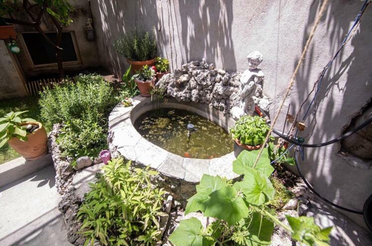 Apartmani Marko Makarska Bagian luar foto